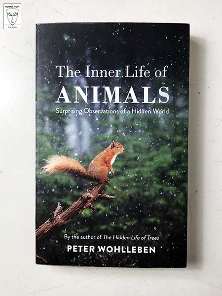 Peter Wohlleben - The Inner Life Of Animals